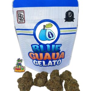 blue guava gelato