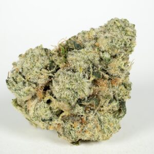 Brownie Scout strain