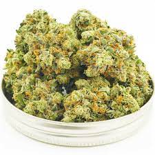 Sour Diesel Strain Sour Diesel Strain
